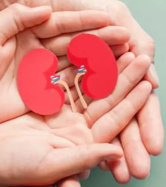Kidney Profile